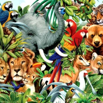 jungle-animal-wallpaper-wallpapersafari
